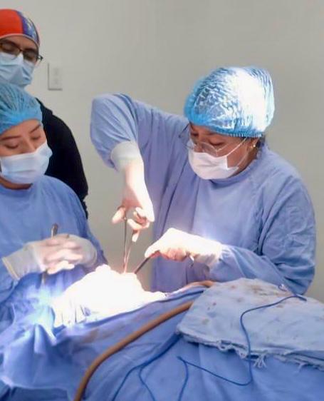 Cirugía Maxilofacial 2